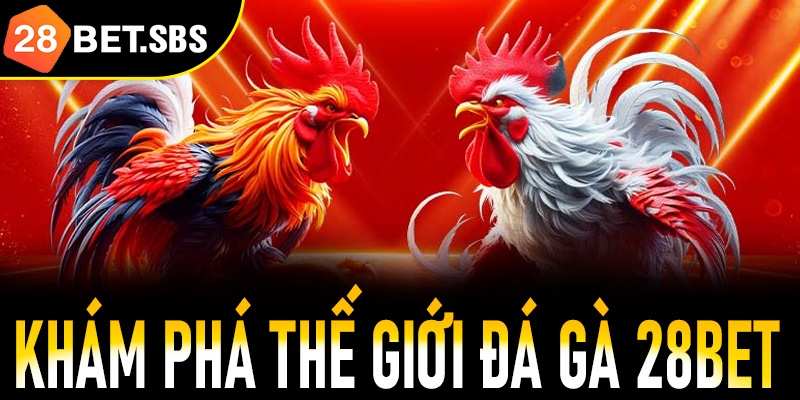 Khám phá thế giới đá gà 28Bet dành cho người mới bắt đầu