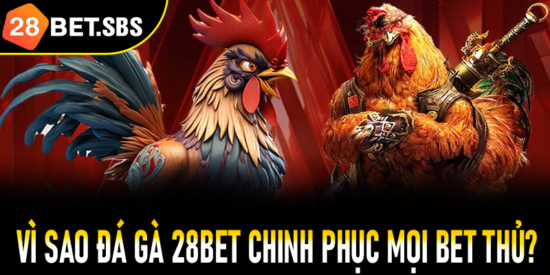 Vì sao đá gà 28Bet chinh phục mọi bet thủ khó tính?